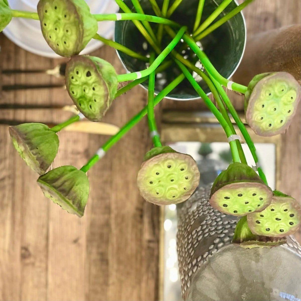Artificial Lotus Seedpod Stem - Persora