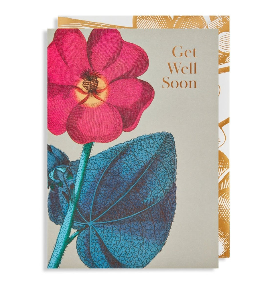 Get Well Soon Greeting Card - Persora