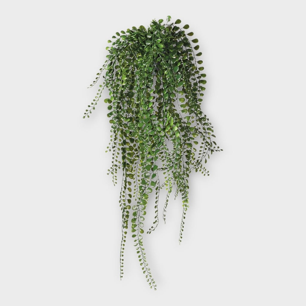 Pea Leaf Hanging Plant - Persora