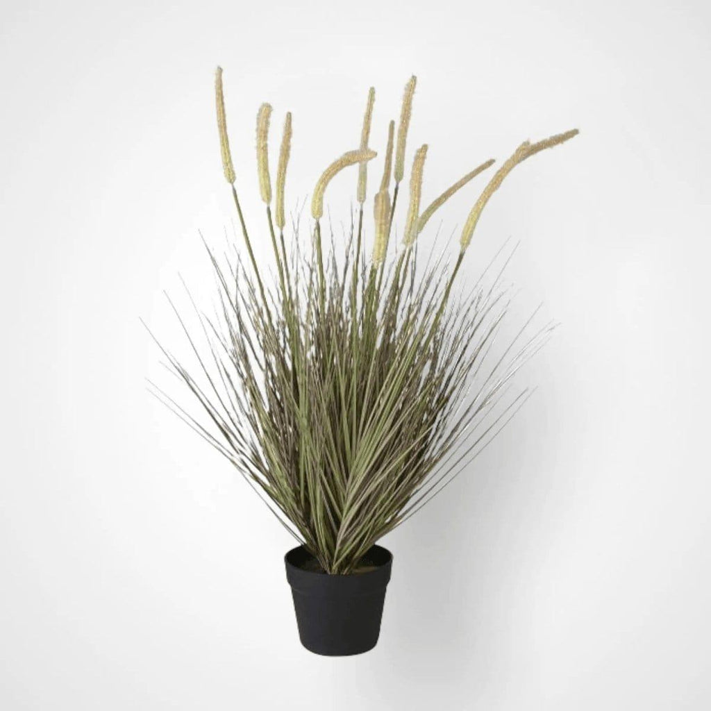 Potted Faux Onion Grass - Persora