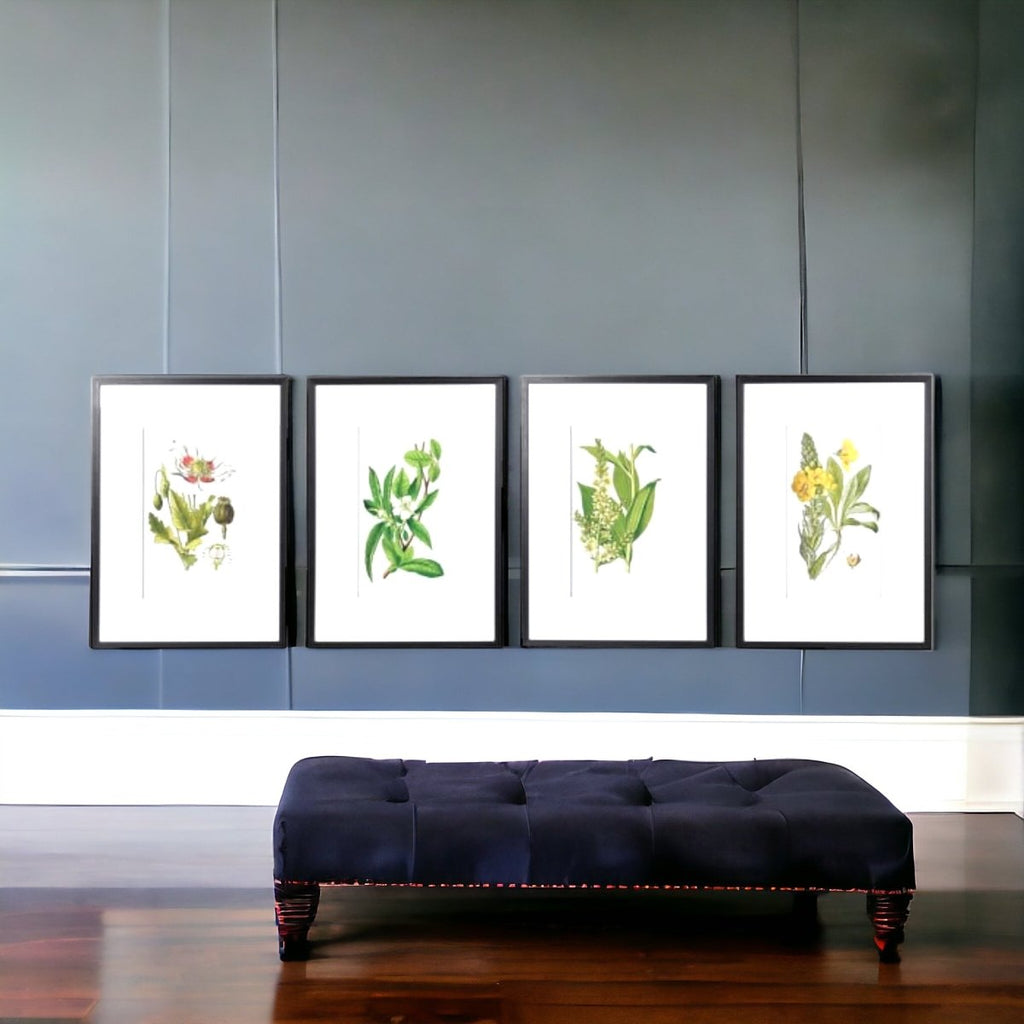 Set of 4 Floral Print Pictures - Persora