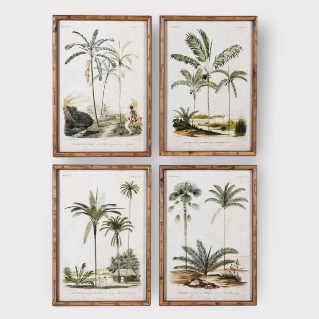 Set of 4 Palm Tree Print Pictures - Persora