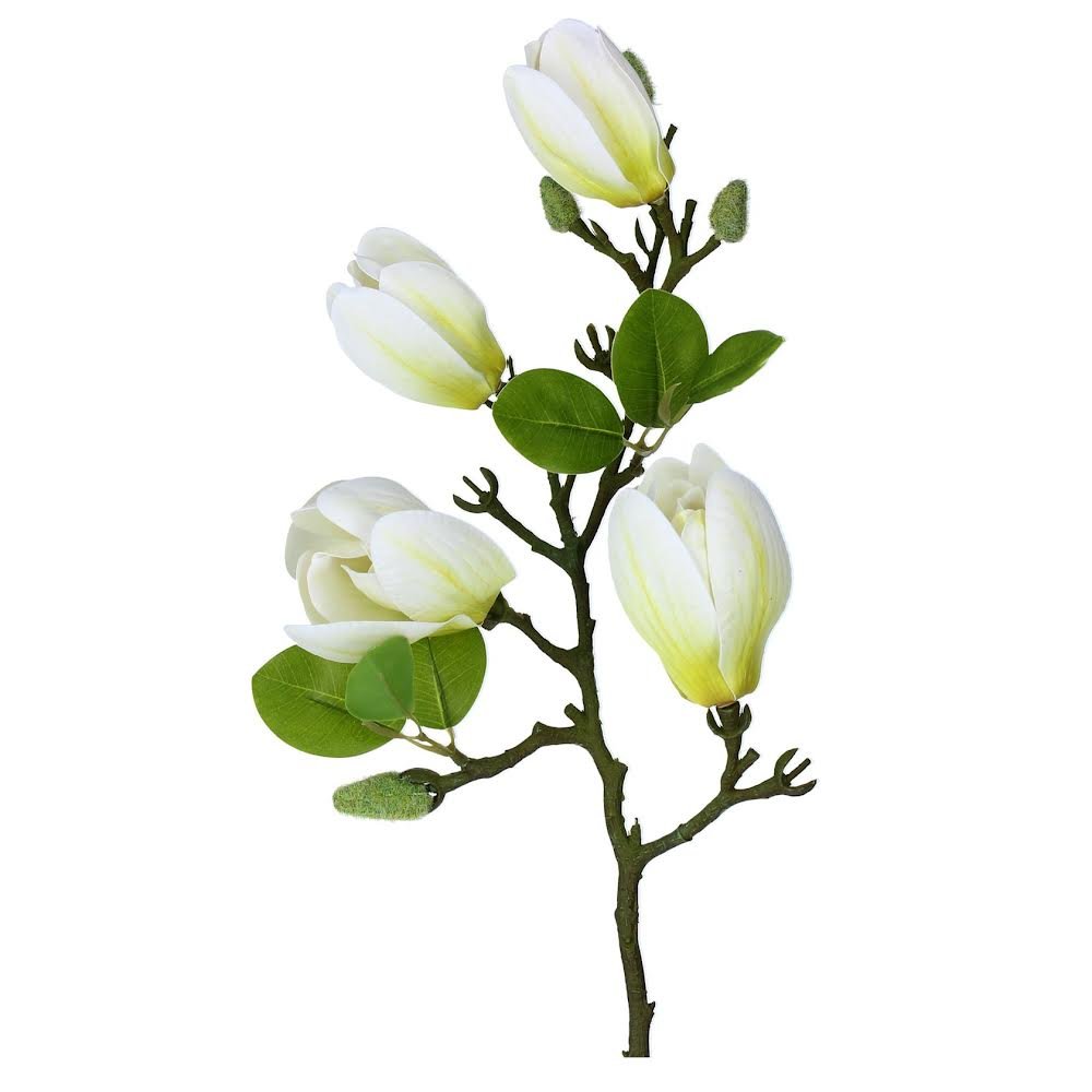 White Magnolia Branch - Persora