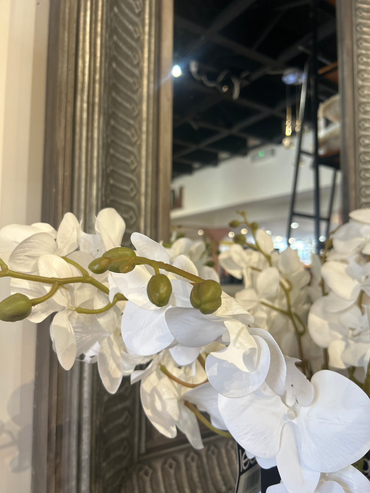 100cm Orchid Stem