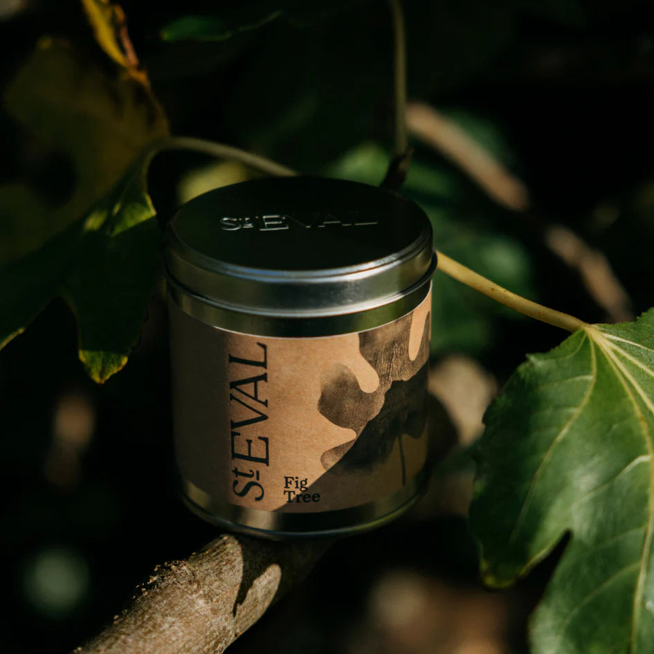 St Eval Fig Tree Scented Candle Tin