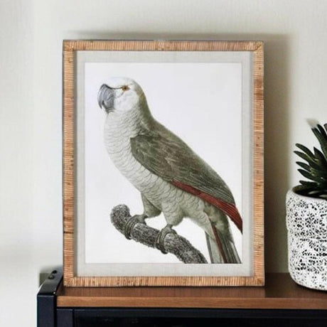Framed Penelope Parrot Print.