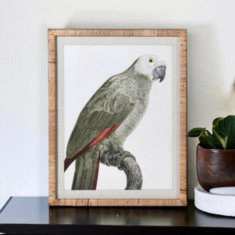 Framed Percy Parrot Print.