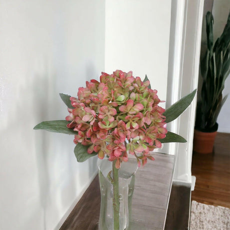 Antique Pink Hydrangea - Persora
