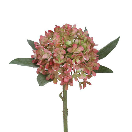 Antique Pink Hydrangea - Persora