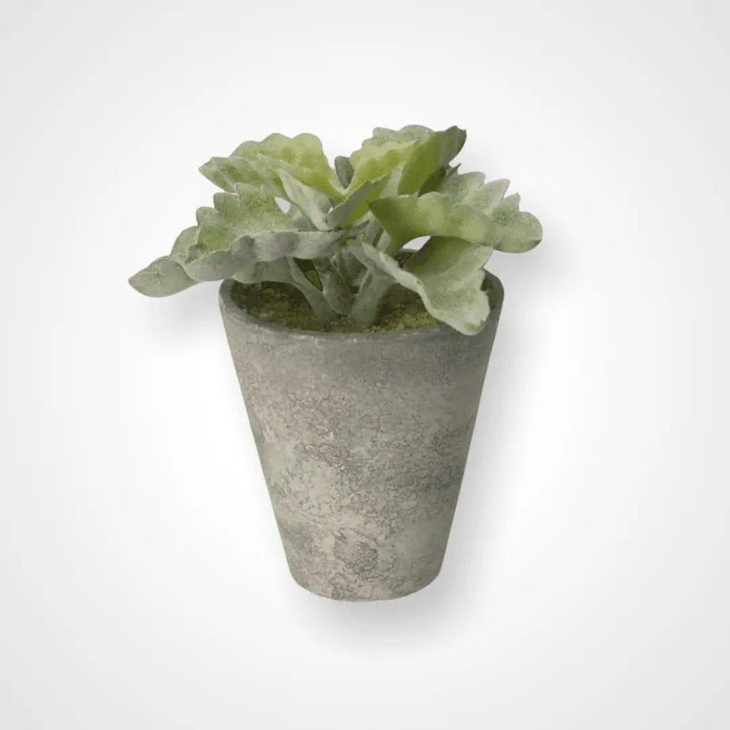 Artificial Echeveria Succulent Pot - Persora