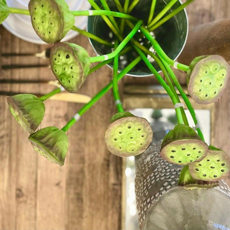Artificial Lotus Seedpod Stem.