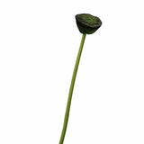Artificial Lotus Seedpod Stem.