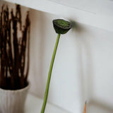 Artificial Lotus Seedpod Stem.