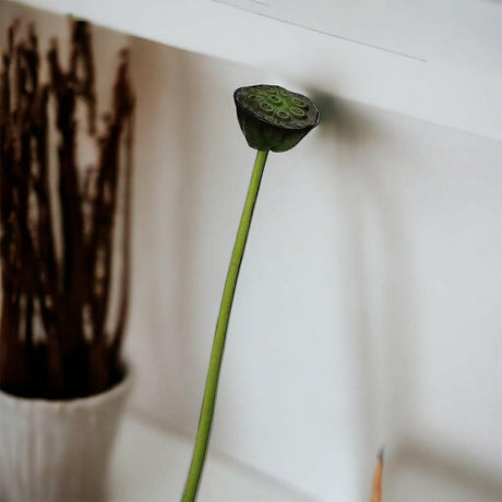 Artificial Lotus Seedpod Stem.
