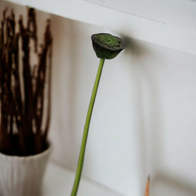 Artificial Lotus Seedpod Stem.