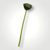 Artificial Lotus Seedpod Stem.