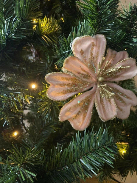 Blush Pink and Gold Velvet Poinsettia.