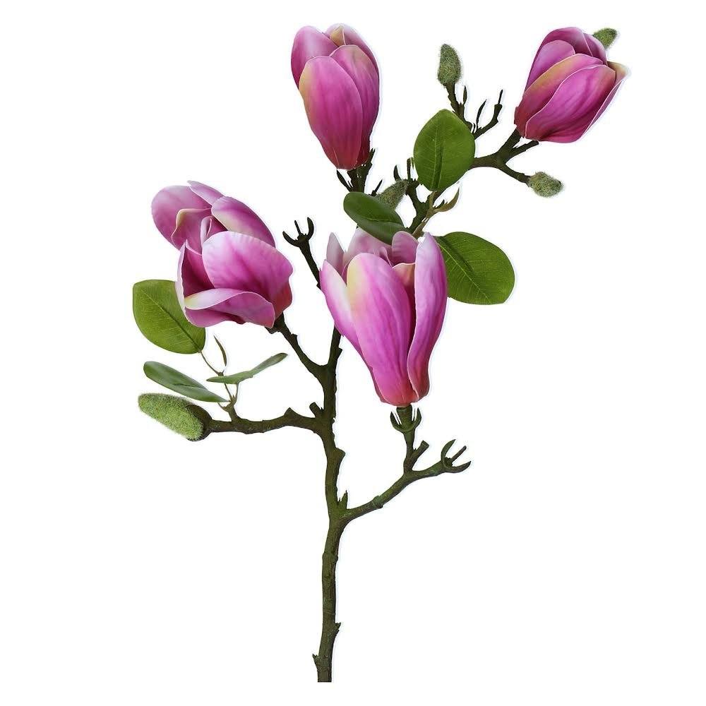 Dark Pink Magnolia Branch - Persora