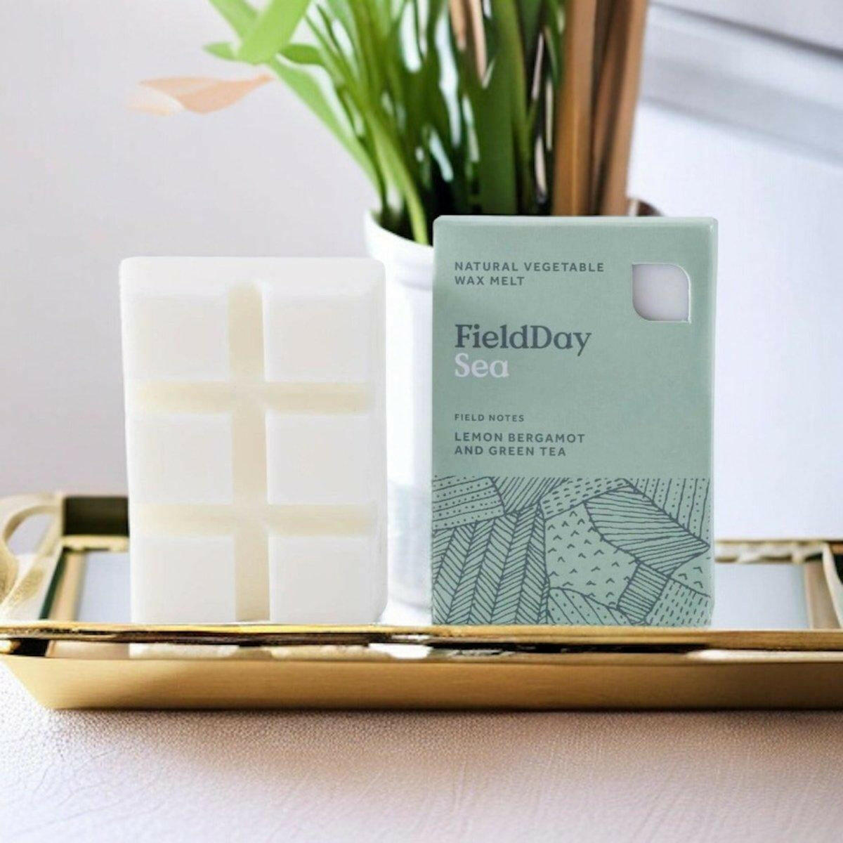 Field Day Sea Wax Melts.