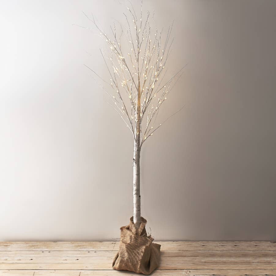 LED White Birch Tree 150cm - Persora