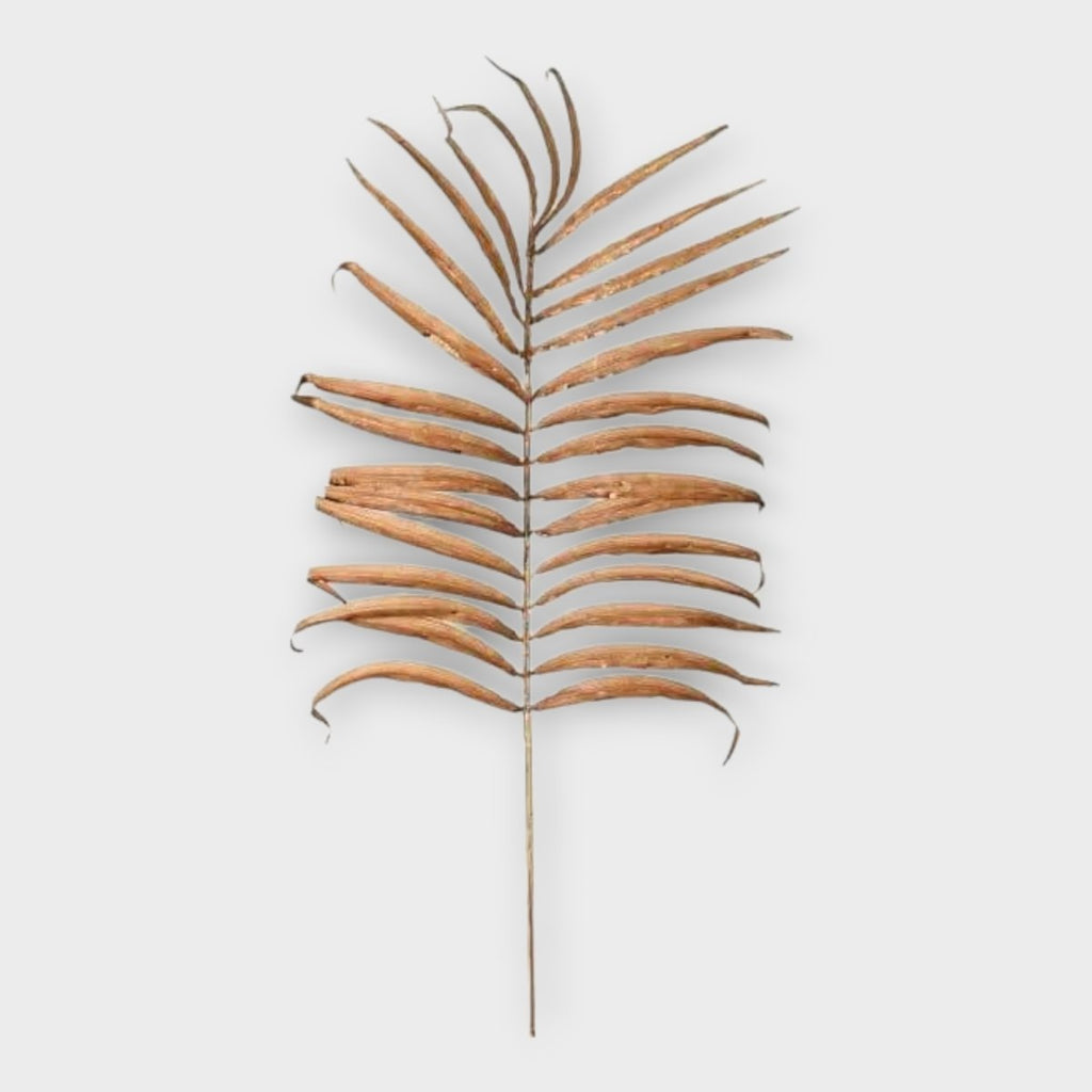 Natural Palm Leaf Stem - Persora