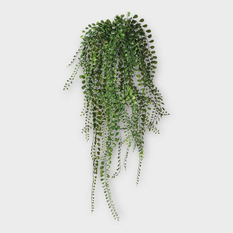 Pea Leaf Hanging Plant.