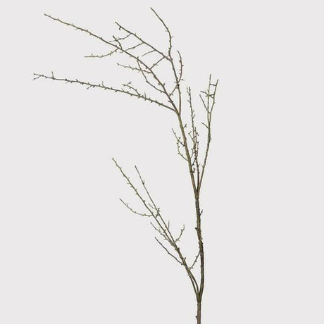 Rustic Brown Twig Stem - Persora