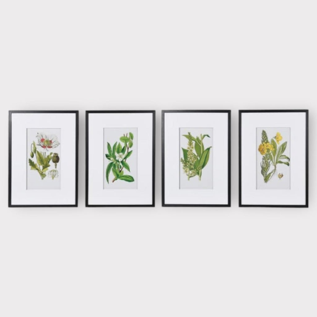 Set of 4 Floral Print Pictures - Persora