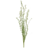 White Wild Lupin Stem - Persora